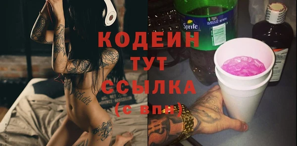 прущие грибы Бородино