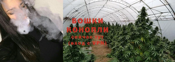 прущие грибы Бородино