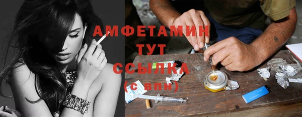 прущие грибы Бородино