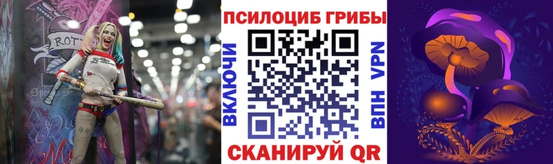 Галлюциногенные грибы GOLDEN TEACHER  Камень-на-Оби 